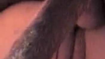 Intimate shots of a canine screwing a lady