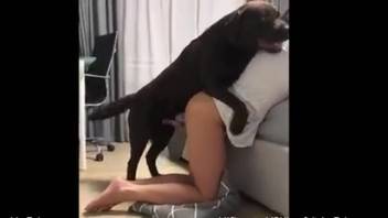 Horny blond chick experiments with canine cock for some casual homemade sex excitement