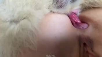 Narrow anus of a sexy animal lover penetrated profoundly