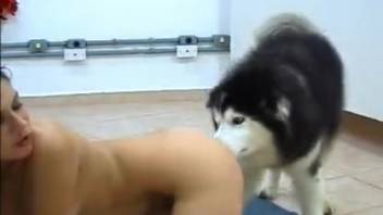 Two gorgeous women delight in sharing blowjobs on dog penises together