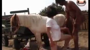 CFNM zoophilia romp featuring a cropped-haired vixen and her stud horse
