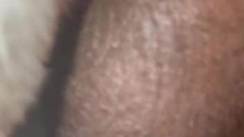 Dude with a veiny penis works over a tight hole